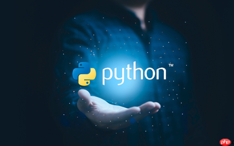python PaddleOCR库的介绍