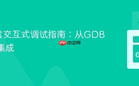 Go语言交互式调试指南：从GDB到IDE集成