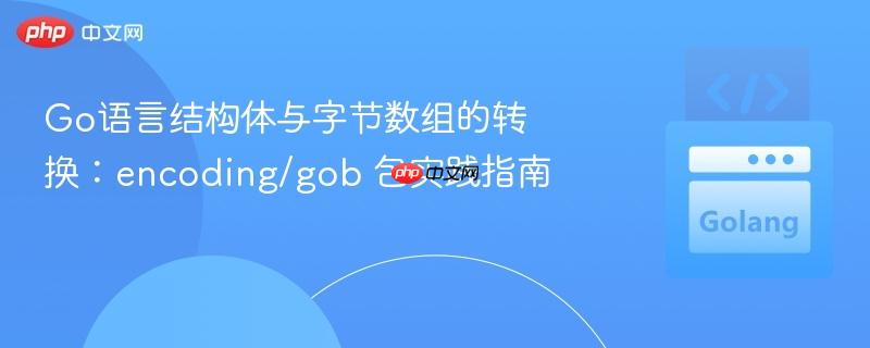 Go语言结构体与字节数组的转换:encoding/gob 包实践指南