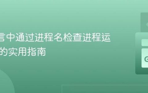 Go 语言中通过进程名检查进程运行状态的实用指南