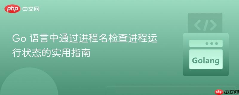 Go 语言中通过进程名检查进程运行状态的实用指南