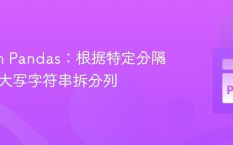 Python Pandas：根据特定分隔符和全大写字符串拆分列