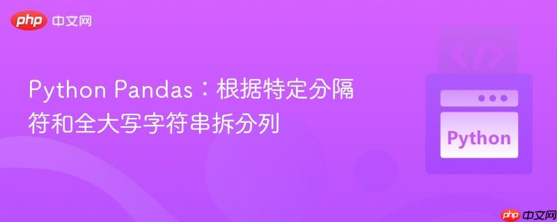 python pandas:根据特定分隔符和全大写字符串拆分列