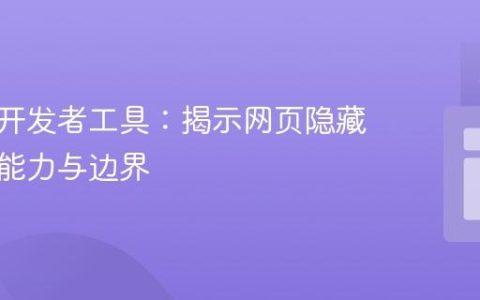 浏览器开发者工具：揭示网页隐藏信息的能力与边界