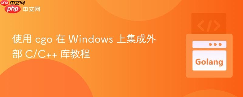使用 cgo 在 Windows 上集成外部 C/C++ 库教程