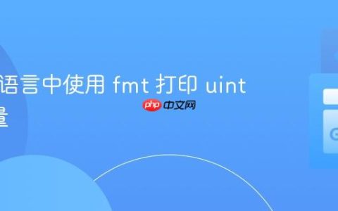 在 Go 语言中使用 fmt 打印 uint64 常量