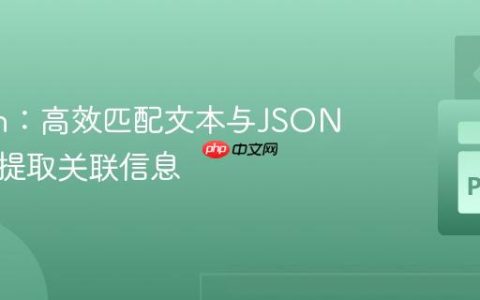 Python：高效匹配文本与JSON数据并提取关联信息
