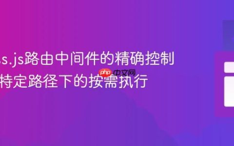 Express.js路由中间件的精确控制：实现特定路径下的按需执行
