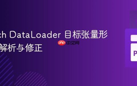 PyTorch DataLoader 目标张量形状异常解析与修正