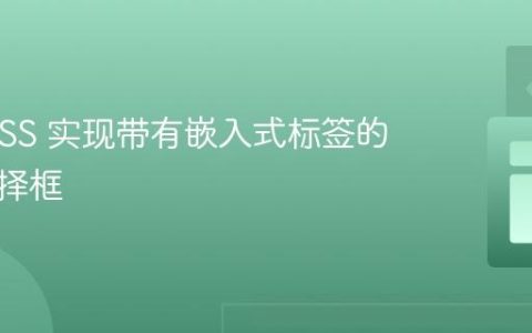 使用 CSS 实现带有嵌入式标签的下拉选择框