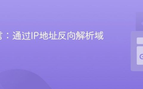 Go语言：通过IP地址反向解析域名