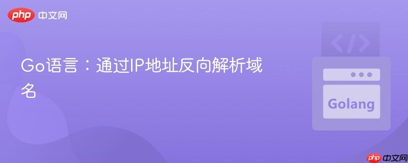 Go语言:通过IP地址反向解析域名