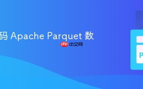 如何解码 Apache Parquet 数据