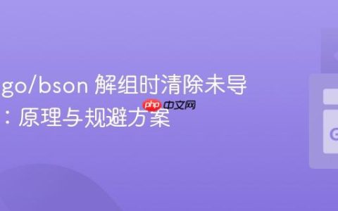 防止 mgo/bson 解组时清除未导出字段：原理与规避方案