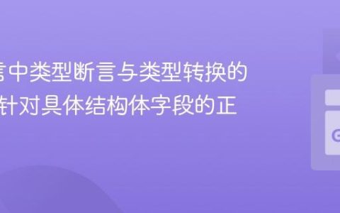 Go语言中类型断言与类型转换的辨析：针对具体结构体字段的正确实践