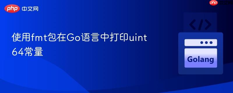 使用fmt包在go语言中打印uint64常量