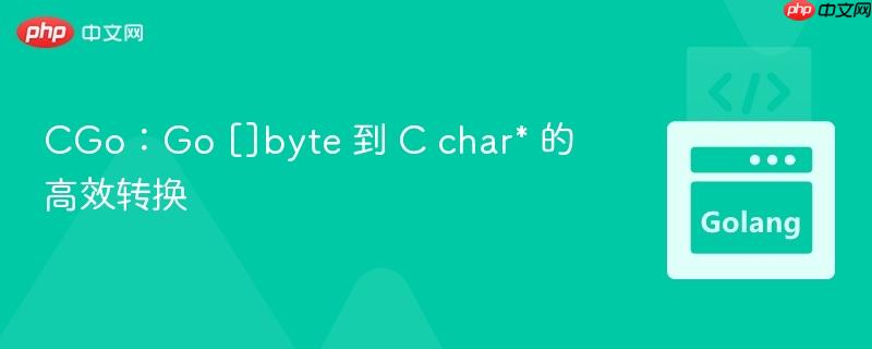 CGo：Go []byte 到 C char* 的高效转换