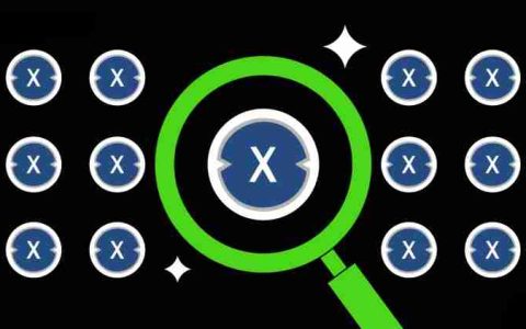 XDC Network(XDC)币是什么?值得投资吗?XDC代币经济与价格预测