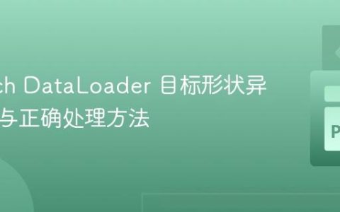 PyTorch DataLoader 目标形状异常解析与正确处理方法
