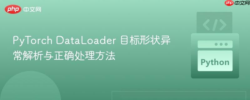 PyTorch DataLoader 目标形状异常解析与正确处理方法