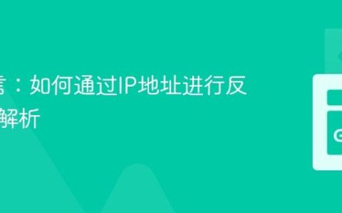 Go语言：如何通过IP地址进行反向域名解析
