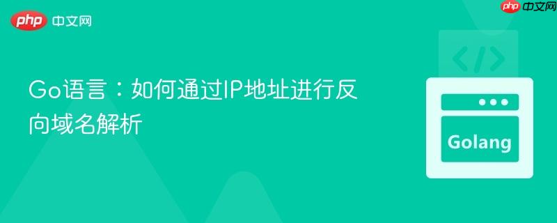 go语言:如何通过ip地址进行反向域名解析
