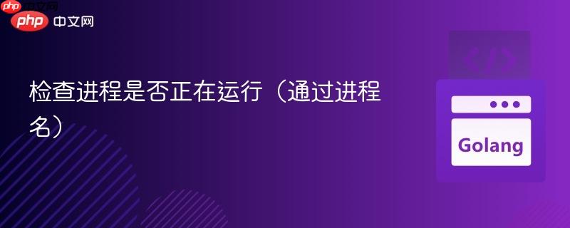 检查进程是否正在运行(通过进程名)