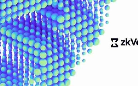 什么是zkVerify (VFY)币？值得投资吗？zkVerify投资价值、代币经济和前景分析