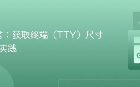 Go语言：获取终端（TTY）尺寸的正确实践