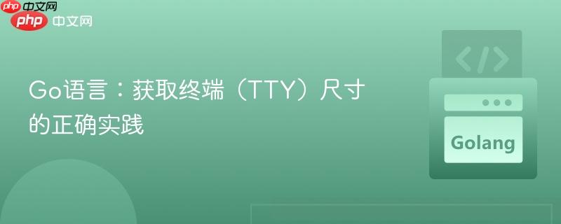 Go语言:获取终端(TTY)尺寸的正确实践