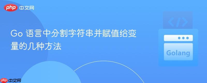 go 语言中分割字符串并赋值给变量的几种方法