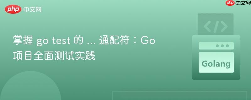 掌握 go test 的 ... 通配符:Go 项目全面测试实践