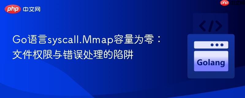 Go语言syscall.Mmap容量为零:文件权限与错误处理的陷阱