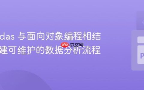 将 Pandas 与面向对象编程相结合：构建可维护的数据分析流程