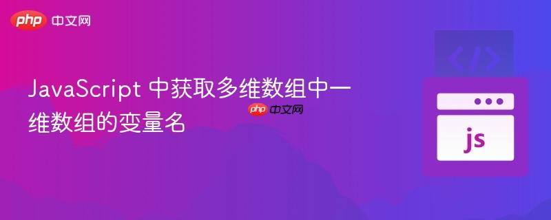 javascript 中获取多维数组中一维数组的变量名