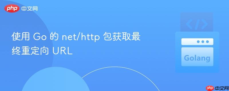 使用 go 的 net/http 包获取最终重定向 url