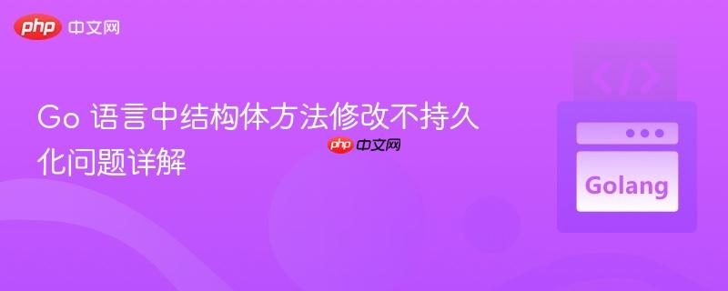 go 语言中结构体方法修改不持久化问题详解