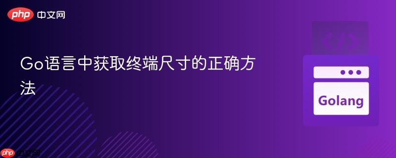 Go语言中获取终端尺寸的正确方法