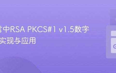 Go语言中RSA PKCS#1 v1.5数字签名的实现与应用