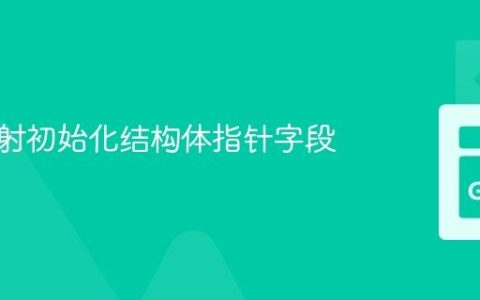 使用反射初始化结构体指针字段