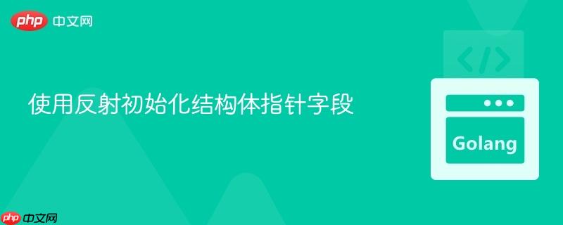 使用反射初始化结构体指针字段