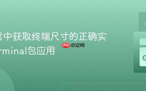 Go语言中获取终端尺寸的正确实践与terminal包应用