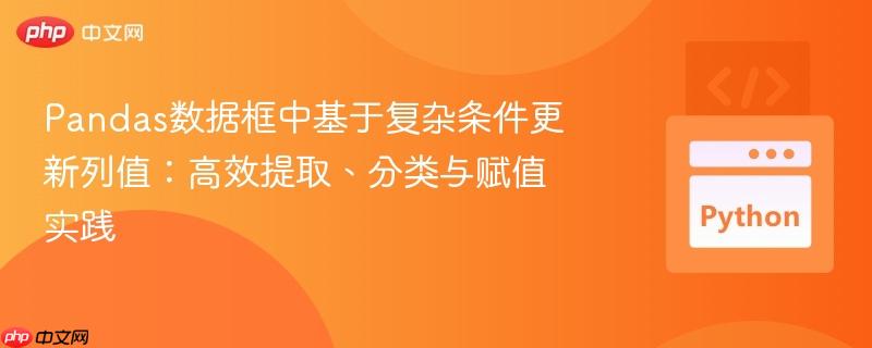 Pandas数据框中基于复杂条件更新列值:高效提取、分类与赋值实践