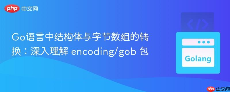 Go语言中结构体与字节数组的转换:深入理解 encoding/gob 包
