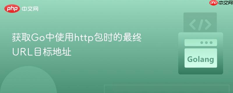 获取go中使用http包时的最终url目标地址