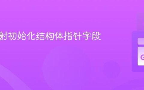 使用反射初始化结构体指针字段的值
