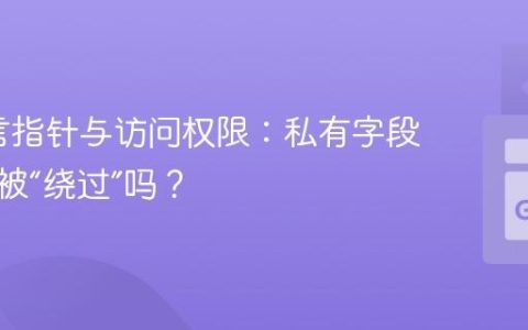 Go语言指针与访问权限：私有字段真的能被“绕过”吗？