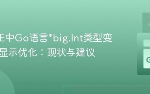 LiteIDE中Go语言*big.Int类型变量调试显示优化：现状与建议