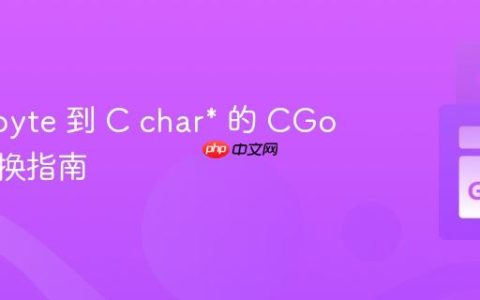 Go []byte 到 C char* 的 CGo 安全转换指南