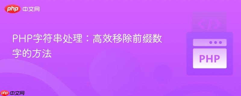 PHP字符串处理:高效移除前缀数字的方法